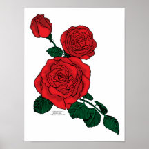 Red rose poster