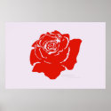 Red Rose posters