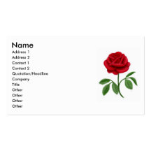 Red Rose Profile Card Business Card