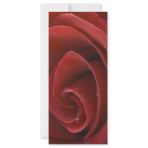 Red Rose Rack Card