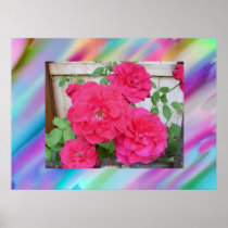 Red Rose Rainbow Poster