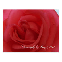 Red Rose RSVP Post Cards
