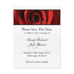 Red Rose Save The Date Postcard