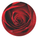 Red Rose Seals stickers