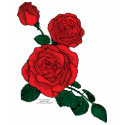 Red rose shirt F/B