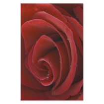 Red Rose Stationary