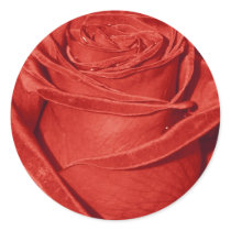 Red Rose Sticker