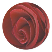 Red Rose Sticker