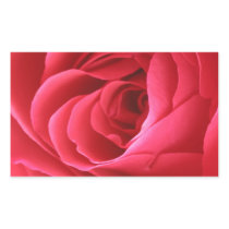 Red Rose Rectangle Sticker