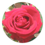 Red Rose Sticker Flower Stickers