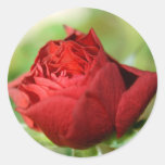 Red Rose Stickers