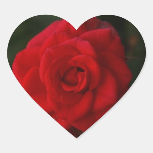 Red Rose Stickers