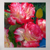 Red Rose Still Life Print