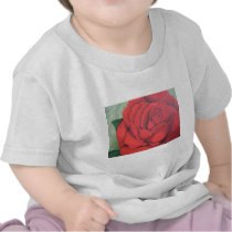 RED ROSE T SHIRTS