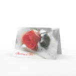 Red Rose - Thinking of You Card