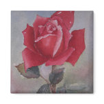 Red rose  Valentine's Day Magnet