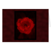 Red Rose. With Black and Deep Red. Greeting Card