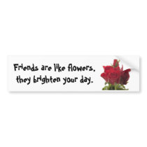 Red roses ... bumper sticker bumper stickers