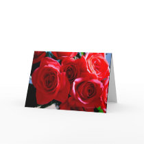 Red Roses Card