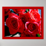 Red Roses II posters