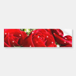 Red Roses,Love_ Bumper Sticker