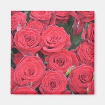 Red Roses Magnet