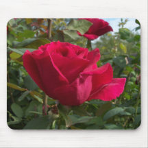 Red Roses Mousepad