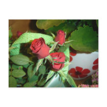 Red roses postcard