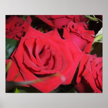 Red Roses Poster