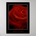 red roses poster posters