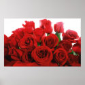 Red Roses Print