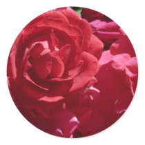 Red Roses Sticker