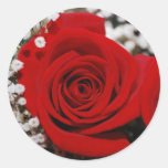 Red Roses With Baby Breath Sticker