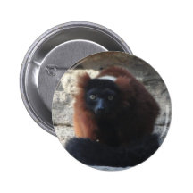 Red Ruffed Lemur Button