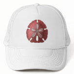 Red Sand Dollar hats