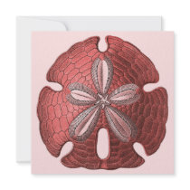 Red Sand Dollar Invitation
