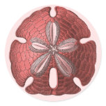 Red Sand Dollar Round Sticker