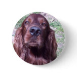 Red Setter buttons