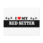 RED SETTER
