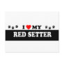 RED SETTER