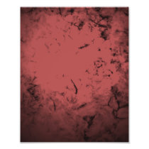 Red Shell Photo Art