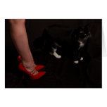 Red Shoes Cards
