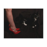 Red Shoes, Long Legs, Nice Pussy postcards
