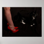 Red Shoes Poster posters