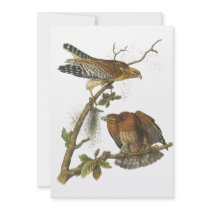 Red-shouldered Hawk, John Audubon Custom Invitation