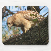 Red-shouldered Mousepad