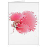 Red Siamese Fighting Fish Card