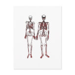 Red Skeleton Couple postcards