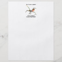 Red Spider Assassin Bug Personalized Flyer