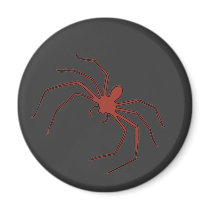 Red Spider Magnets